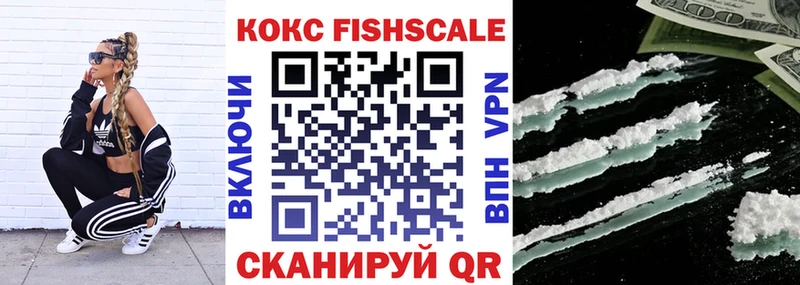 дарнет шоп  Копейск  Кокаин FishScale 