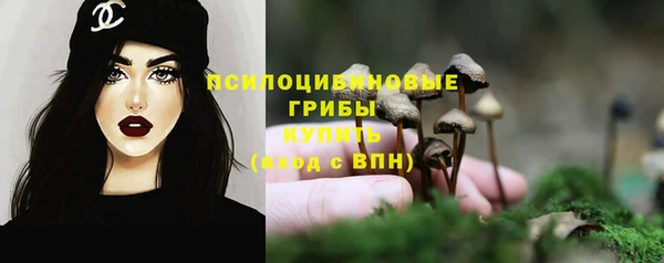 альфа пвп Краснослободск