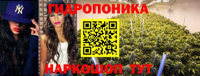 экстази Аргун