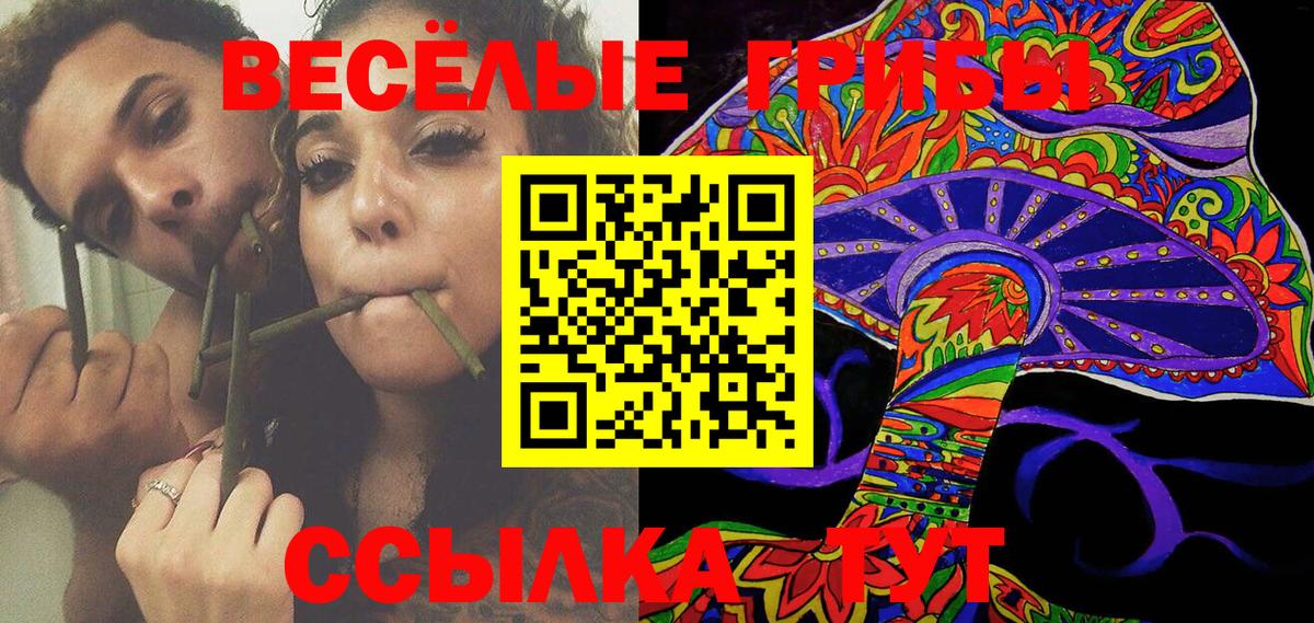 Копейск  Галлюциногенные грибы Psilocybine cubensis  Псилоцибиновые грибы прущие грибы  Вход с VPN 