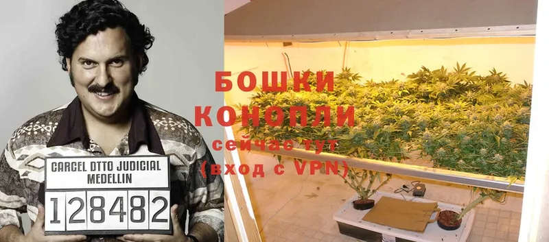 Канабис White Widow  Копейск 